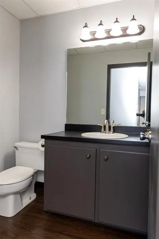 Picture 12