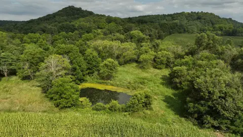 Wisconsin Recreational Land with Trout Stream