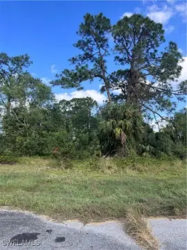 Oversized Lot in Labelle, FL