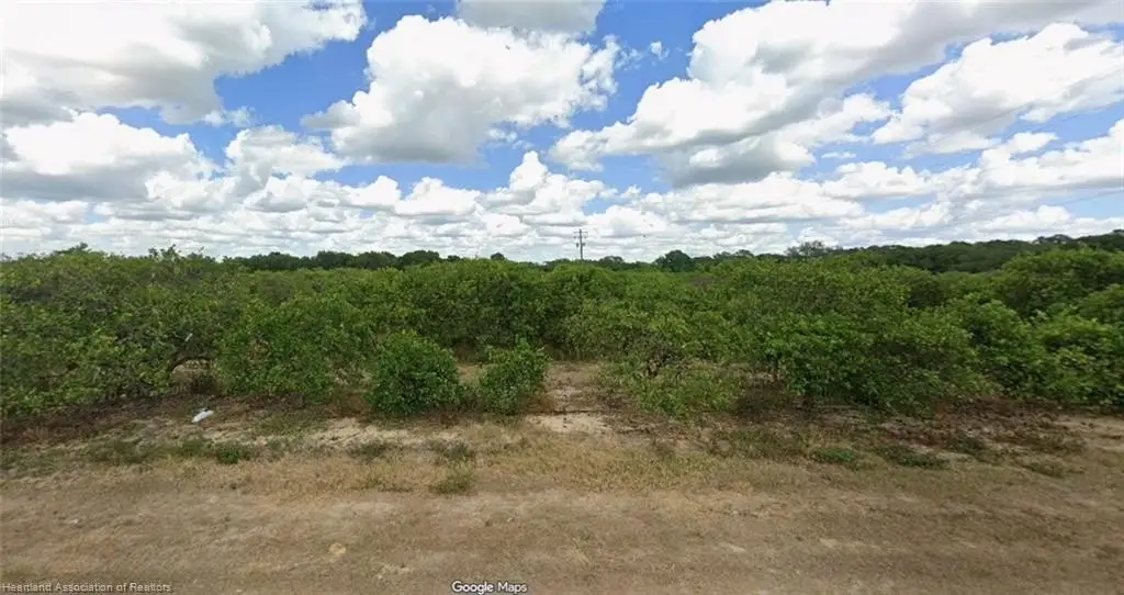 Picture 15