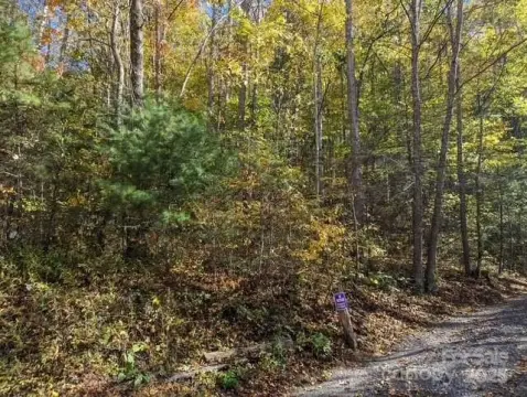 Land in Waynesville, North Carolina
