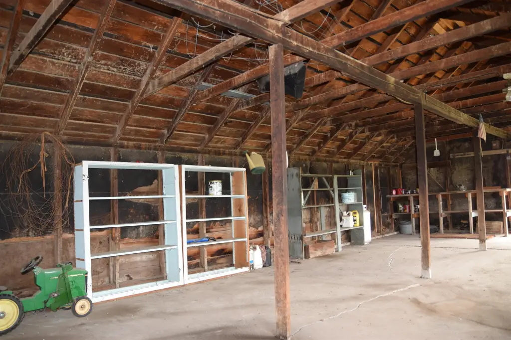 Picture 9