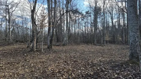 79 Acres of Wooded Land