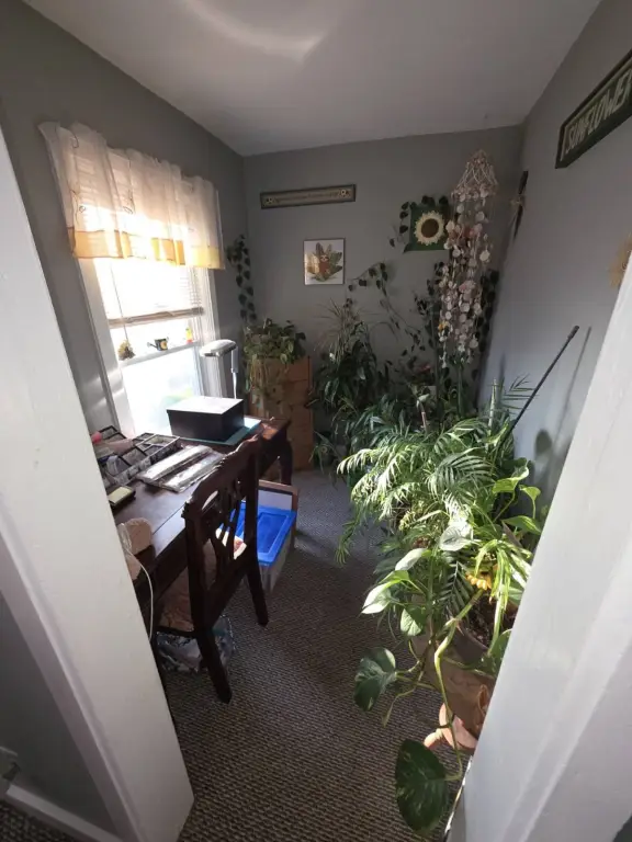 Picture 23