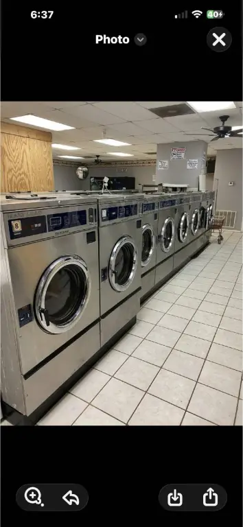 Picture 6