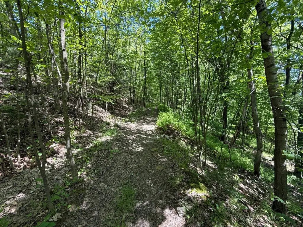 Picture 45