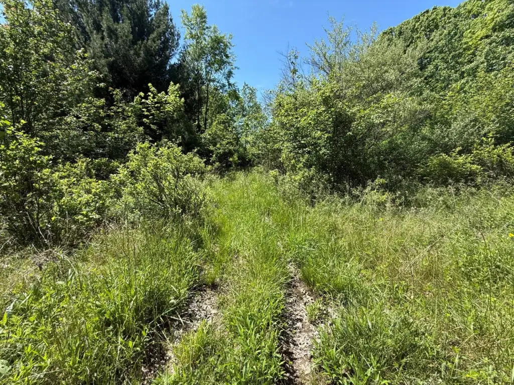 Picture 23