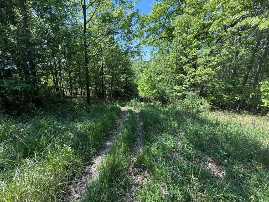Picture 24
