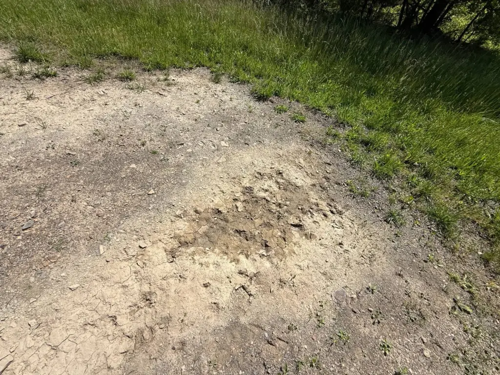Picture 18