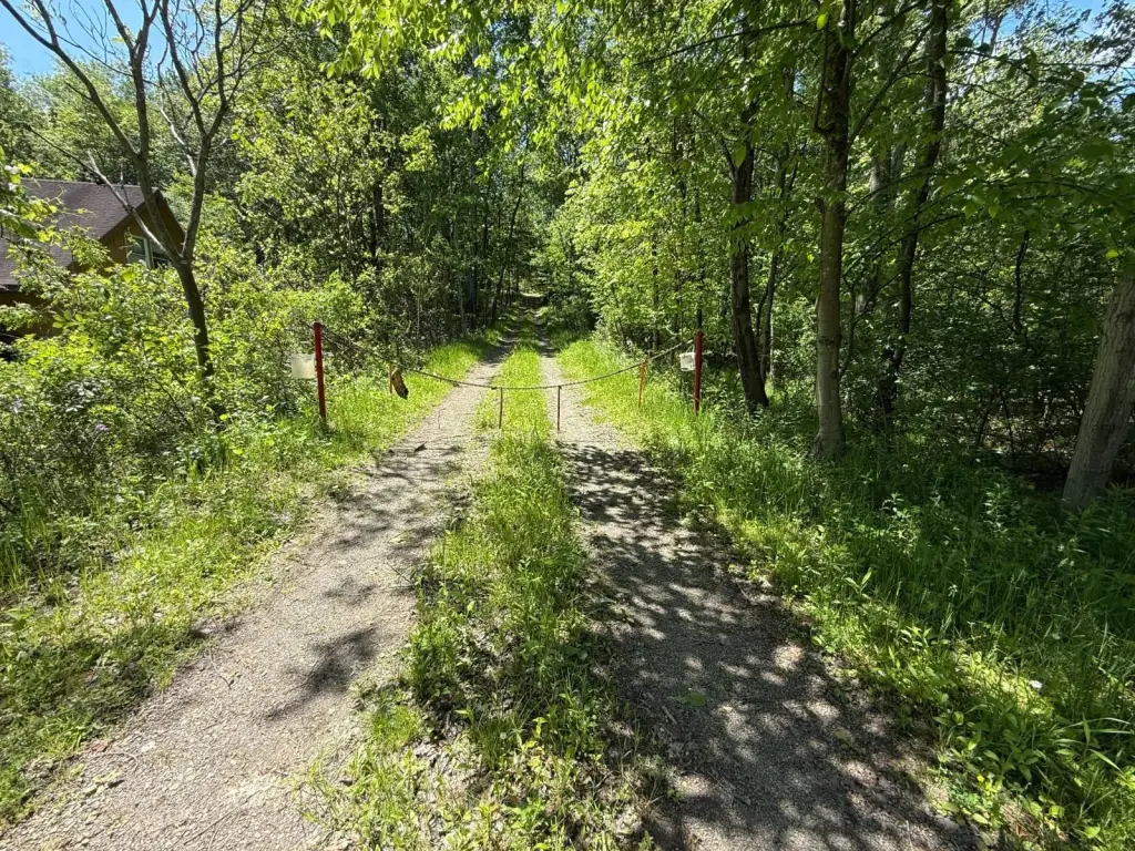 Picture 61