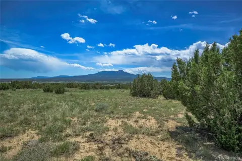 36 Acres Buildable Land I-25