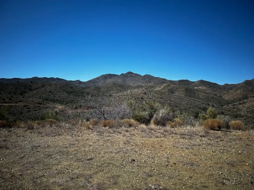 Picture 6