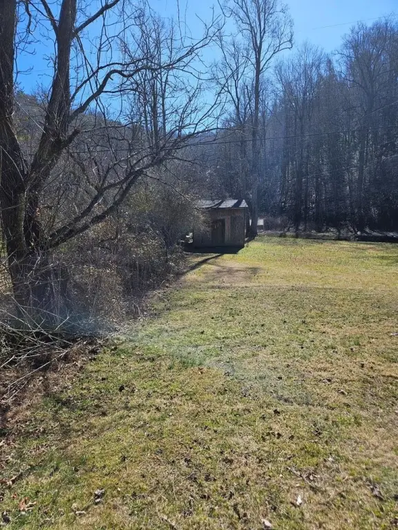 Picture 14