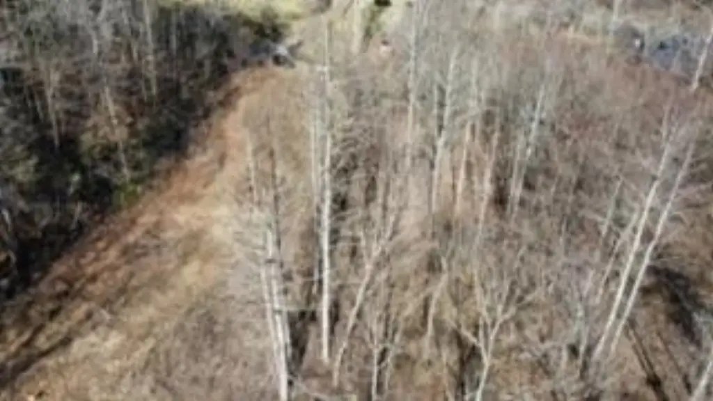 Picture 23