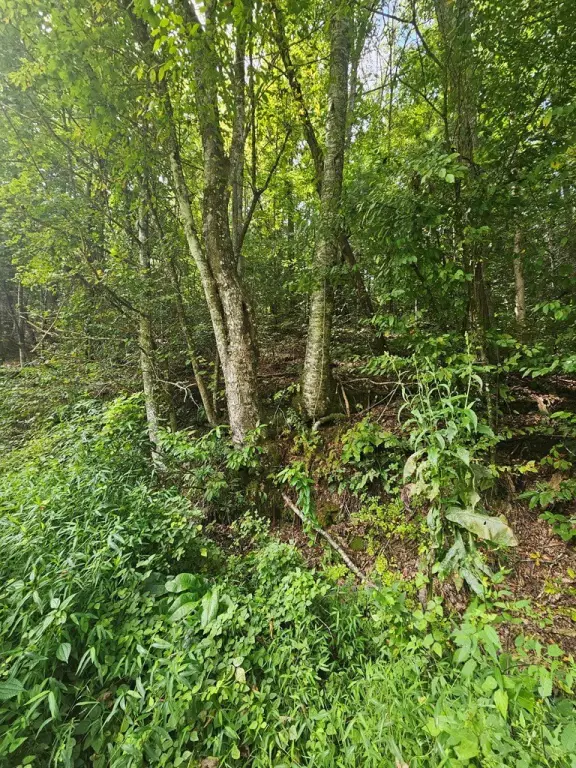 Picture 10