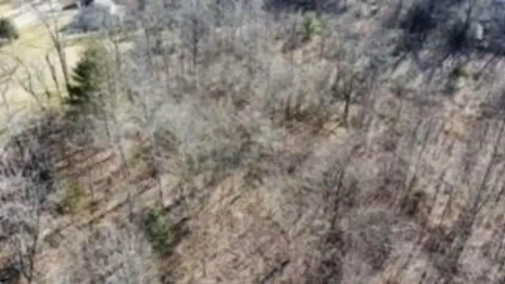 Picture 19