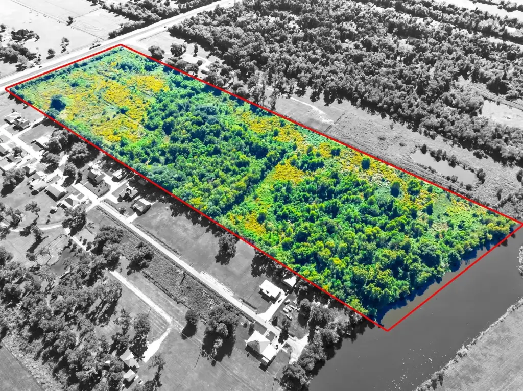 Picture 4