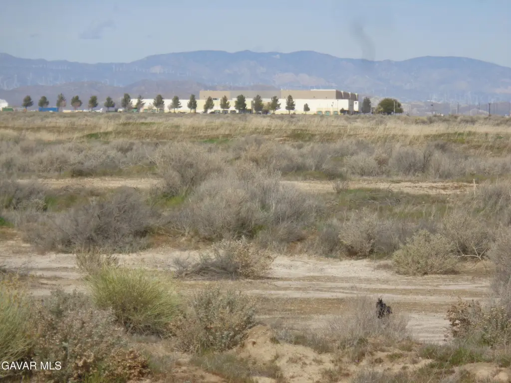 Picture 10