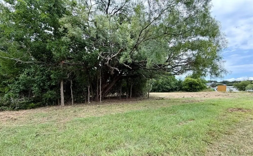 Picture 6