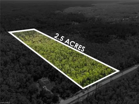 Golden Gate Estates Land Opportunity