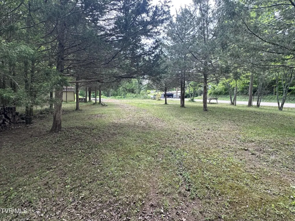Picture 3