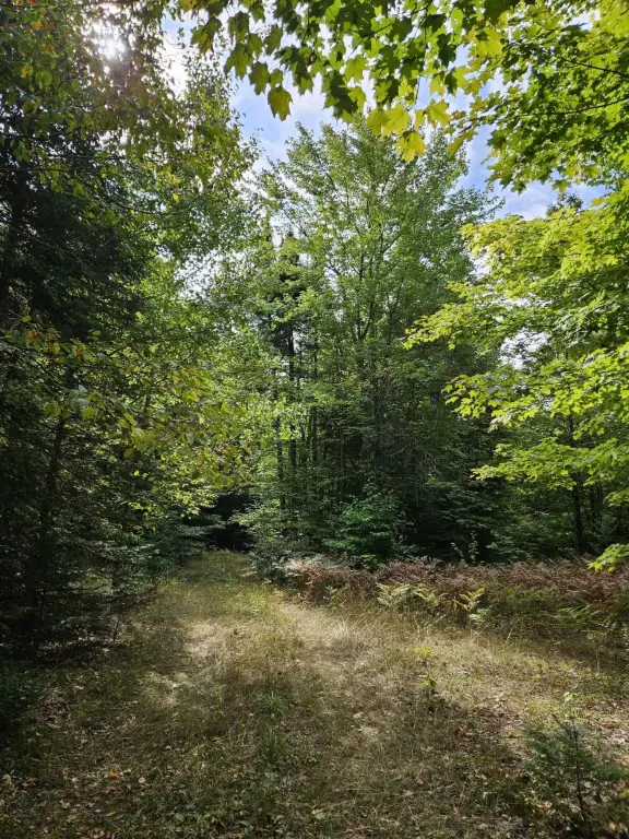 Picture 4
