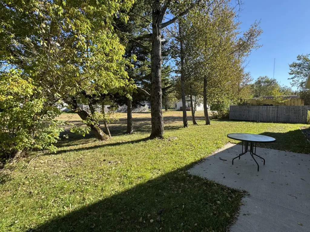 Picture 28