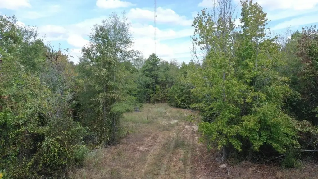 Picture 2