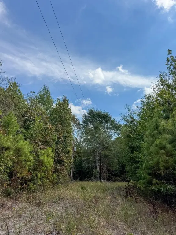 Picture 20