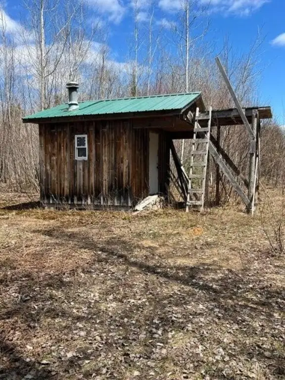 Picture 7