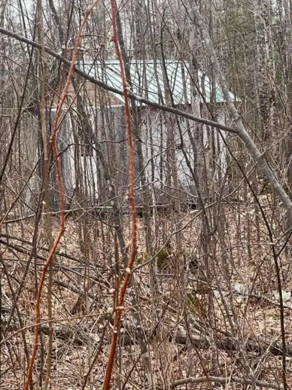 Picture 16
