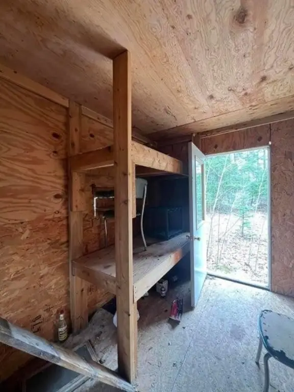 Picture 11