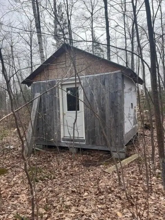 Picture 15