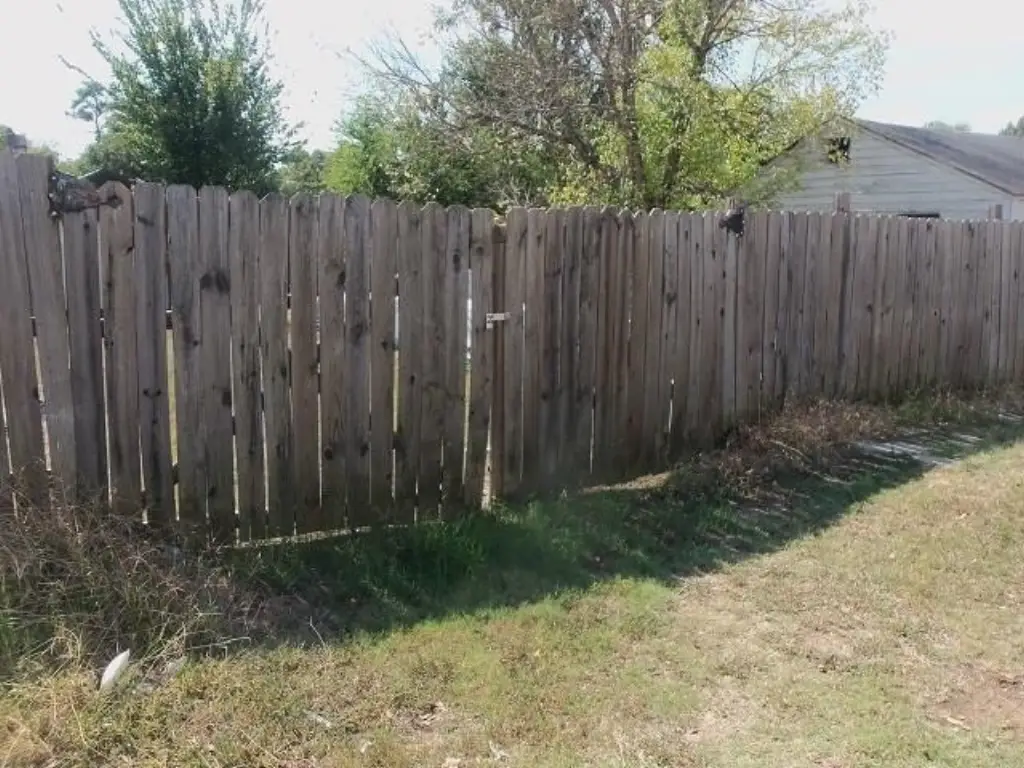 Picture 9