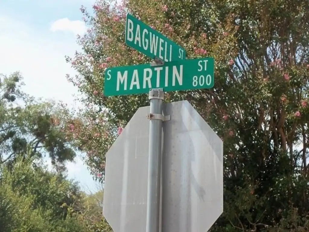 Picture 14