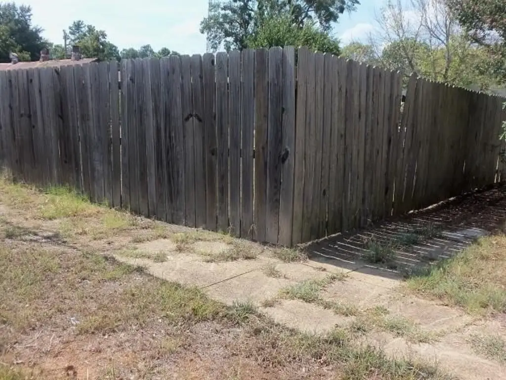 Picture 12