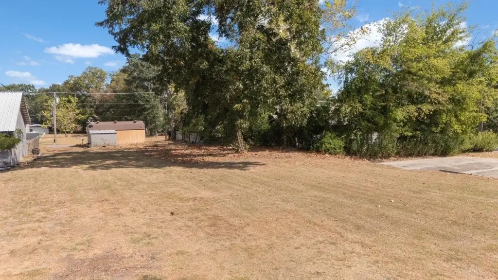 Picture 12