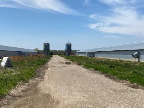 49.6 Acres Former Poultry Farm