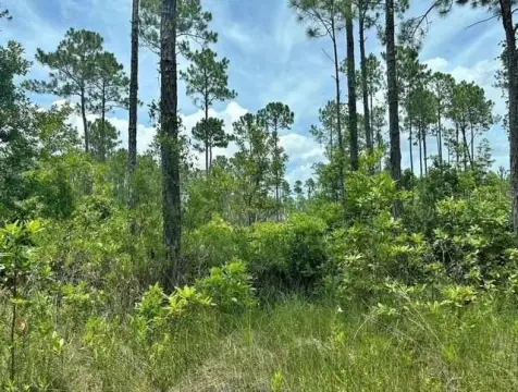 Residential Land in Palatka, Florida