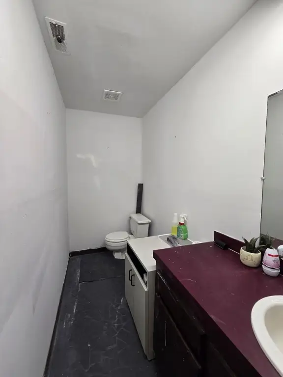 Picture 16