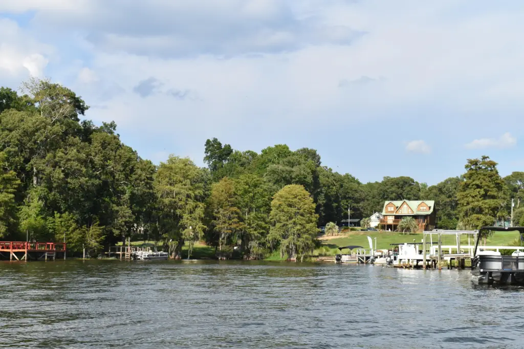 Picture 3