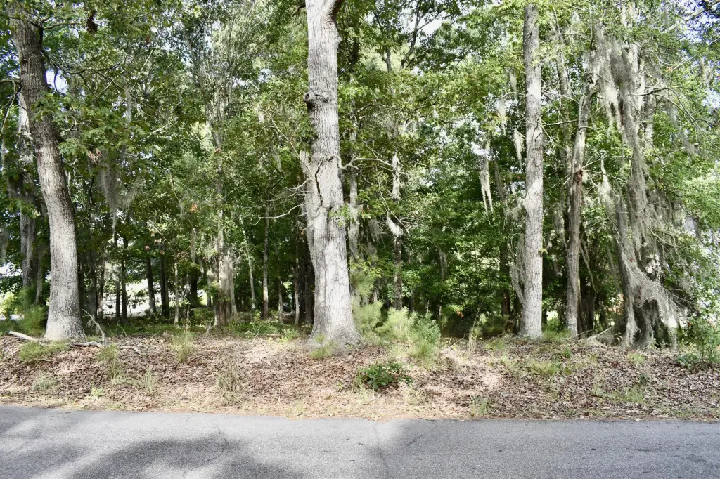 Picture 8