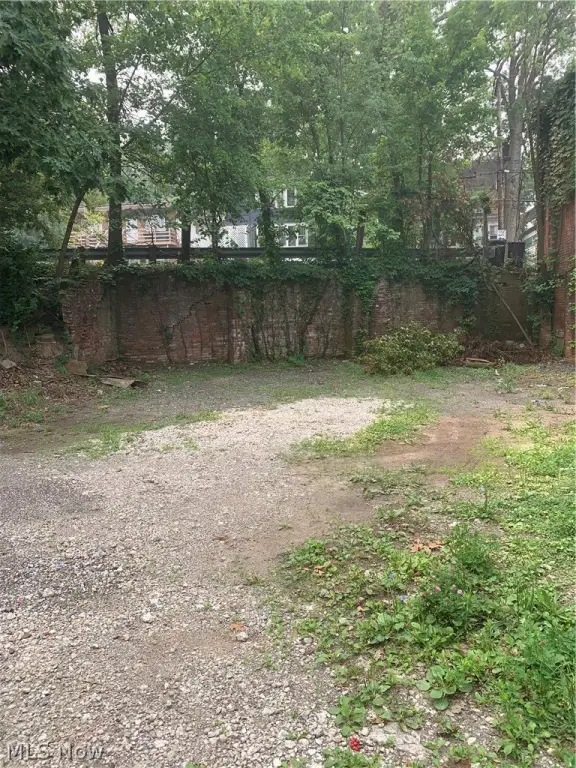 Picture 25