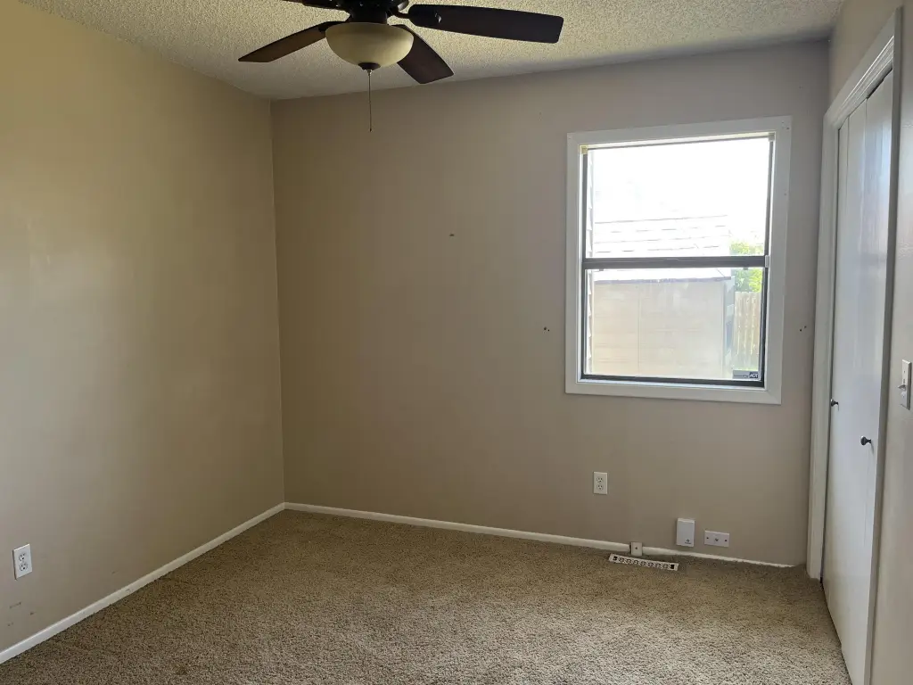 Picture 4