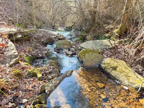 Quitman, AR Woods Acreage