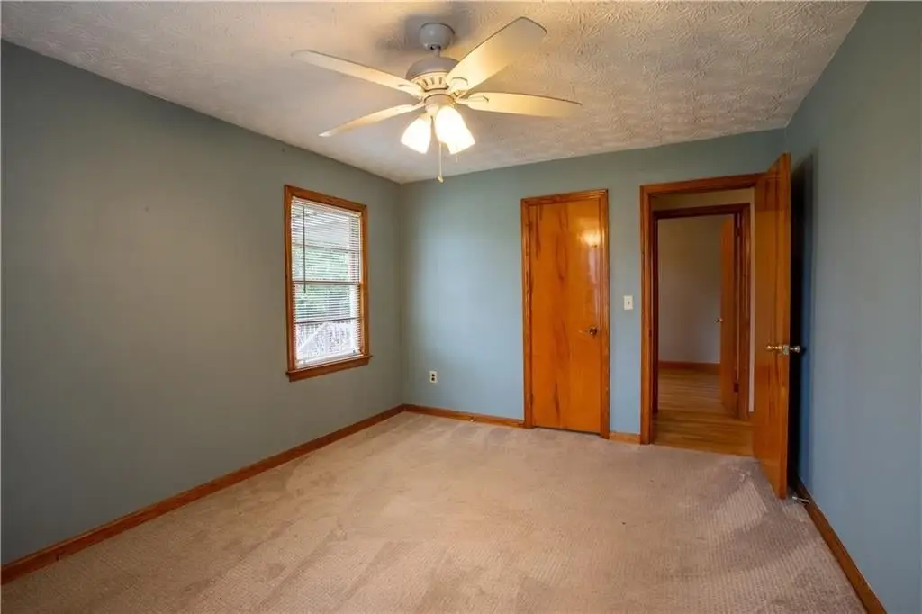 Picture 14