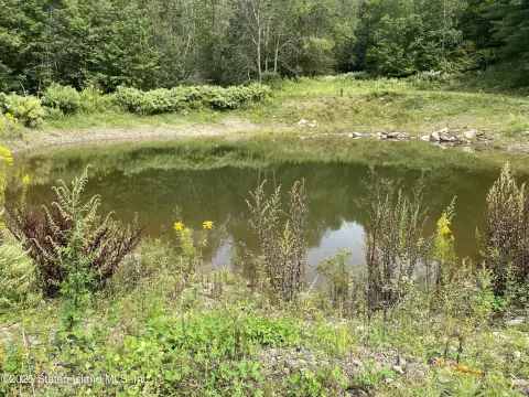 99.8 Acres in Hancock, NY