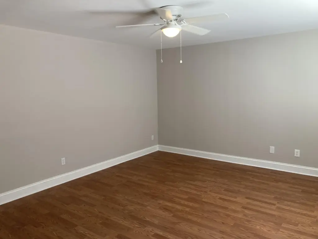 Picture 20