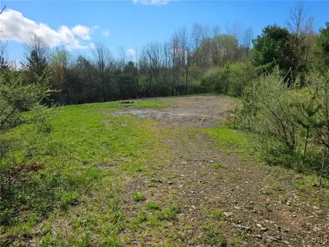 Secluded Hunting Land in Birdsall