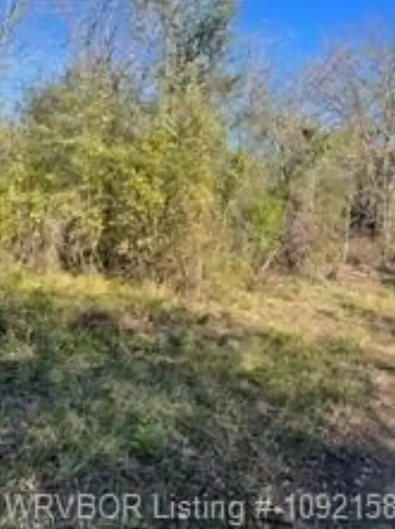 Picture 3